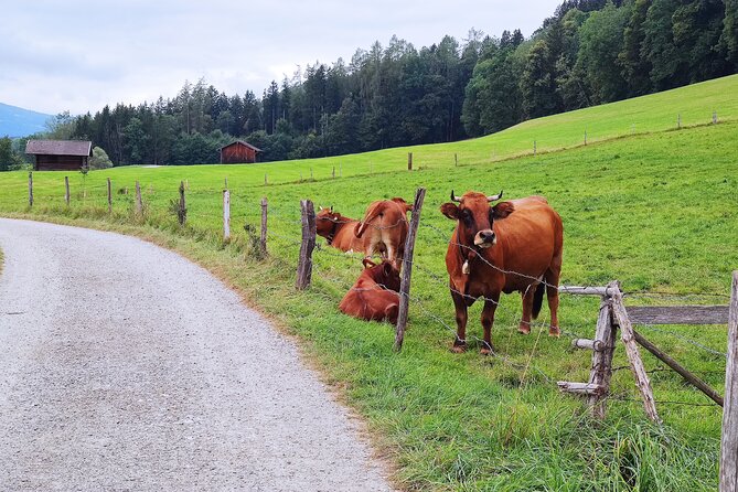 Dragon Slayer Way Beer Hike Food Experience Private Tour (departs Munich) - Murnau, Staffelsee, and the first taste of the countryside