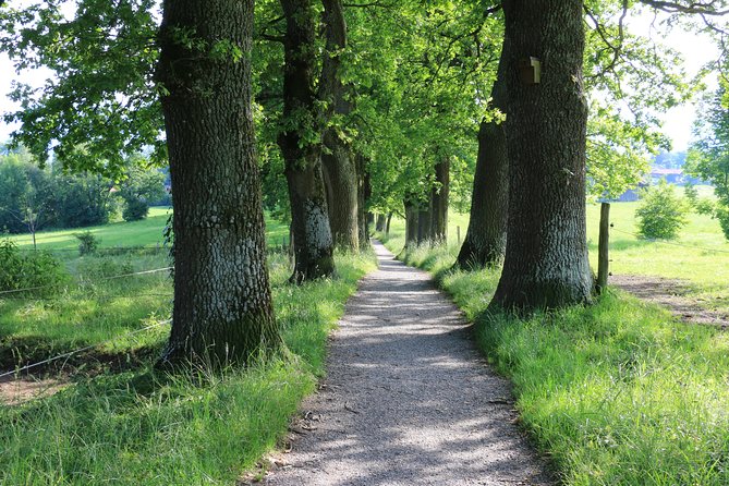 Dragon Slayer Way Beer Hike Food Experience Private Tour (departs Munich) - Walking the 6.5 to 7-km Dragon’s Way