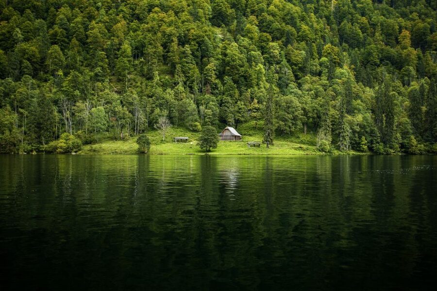 From Munich: Königsee Day Tour by Van - Who should book this day trip