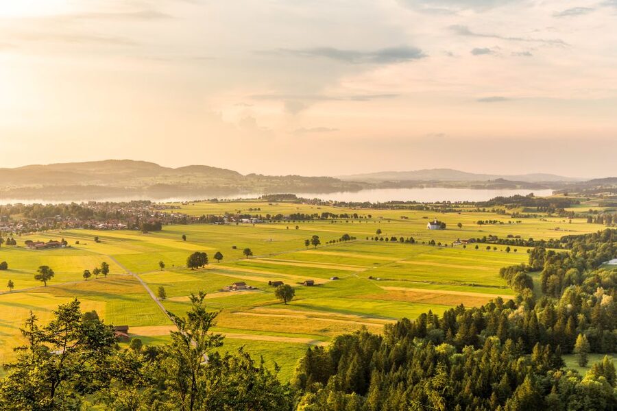 From Munich: Neuschwanstein Castle Full-Day Trip by Van - Reaching Neuschwanstein takes effort