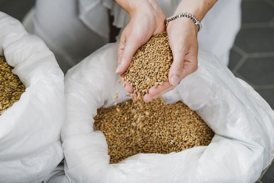 Munich: Hands-On Brewery Tour & Tasting of 4 Organic Beers - Getting to Haderner Bräu München