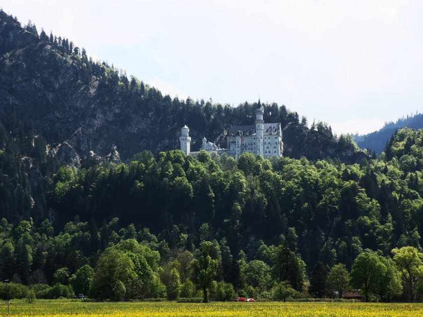 Munich: Neuschwanstein Castle by Bus with Alpine Bike Ride - The optional lake swim
