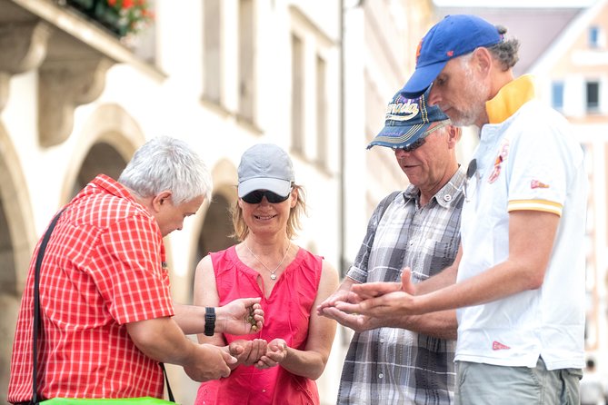 Munich: Old Town Walking Tour - Group size, private tours, and accessibility