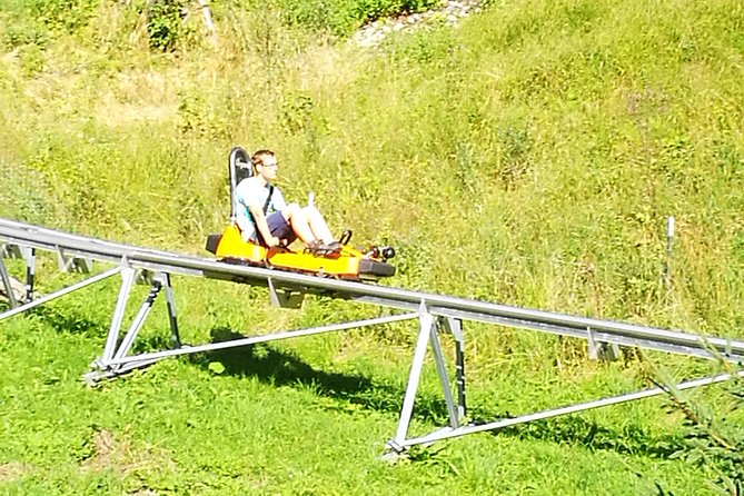 Munich private Car & Walking Tour incl. BMW World & River Surfers - Alpine coasters and outdoor fun