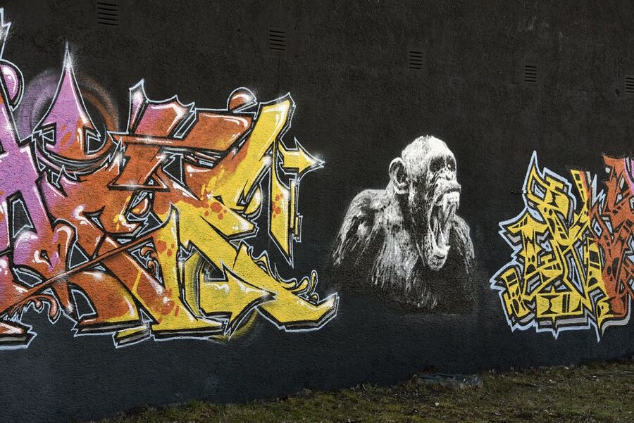 Munich: Street Art Bike Tour - What the bicycle adds to the experience