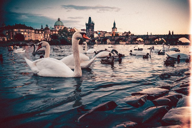 Munich to Prague - Private Transfer with 2 hours of Sightseeing - The driver makes the largest difference