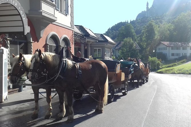 Neuschwanstein and Hohenschwangau Exclusive Skip-the-Crowds Tour - Plansee and Füssen bring variety to the route