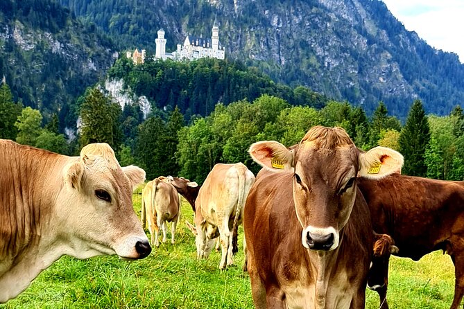 Neuschwanstein Castle, Ettal Abbey and Oberammergau Private Tour from Munich - What your guide adds to the day