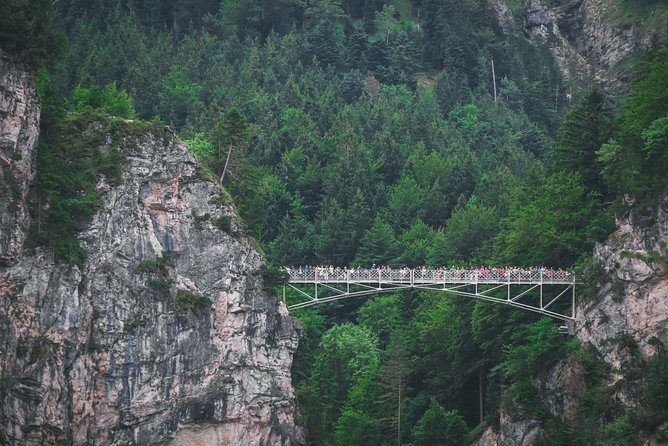 Private Neuschwanstein Castle Tour - optional Alpine Coaster - What $649 per person really buys