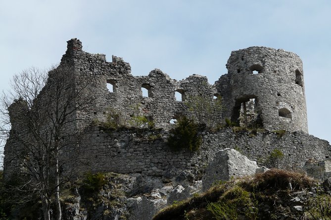 Private Tour of Neuschwanstein Castle & Highline 179 from Munich - What to bring and what to confirm