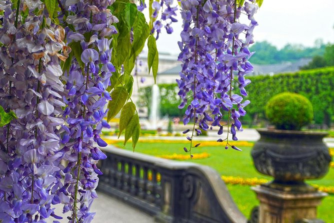 Private Transfer from Munich to Salzburg, English-speaking driver - Is $237.15 per person good value?