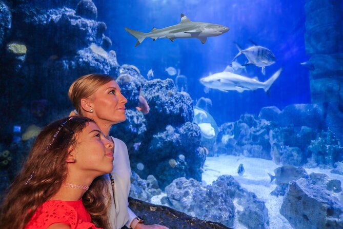 SEA LIFE Munich Admission Ticket - Starting at Willi-Daume-Platz in Olympic Park