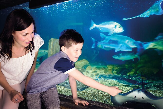 SEA LIFE Munich Admission Ticket - Family features make a difference