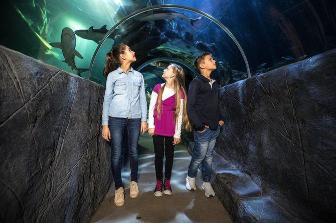 SEA LIFE Munich Admission Ticket - What this experience does well, and where it falls short