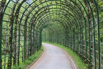 VIP Day Trip Neuschwanstein and Linderhof Castle from Munich
